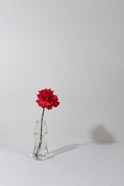 Flor em flor em vaso na mesa