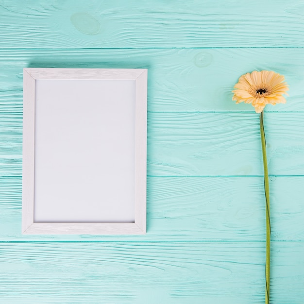 Foto grátis flor gerbera laranja com moldura em branco na mesa