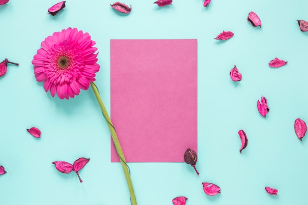 Foto grátis flor gerbera rosa com papel na mesa