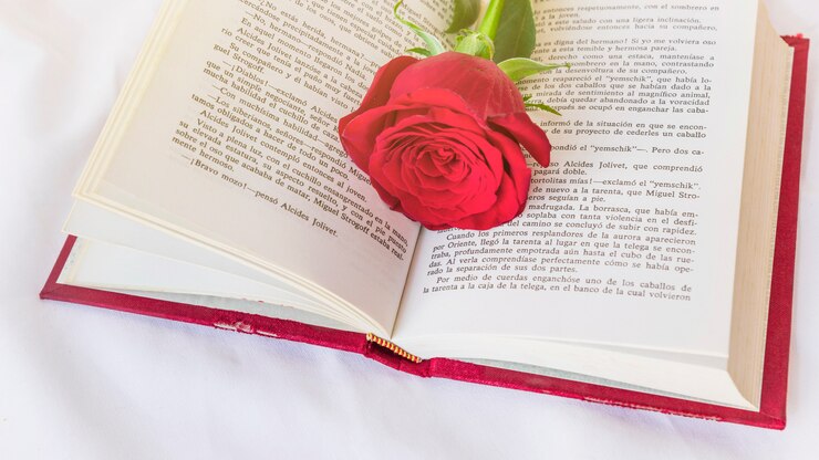 Foto grátis flor rosa vermelha no livro