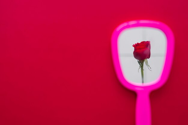 Flor rosa vermelha no reflexo do espelho na mesa