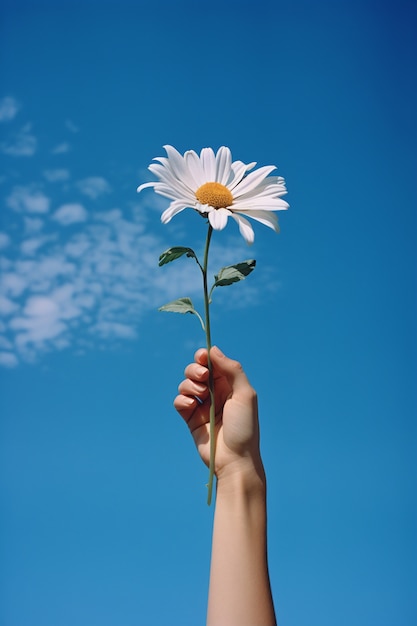 Flor segurada na mão contra o céu