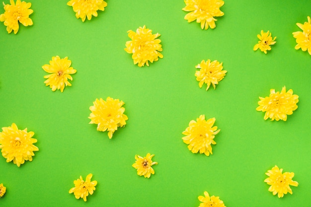 Foto grátis flores amarelas no verde
