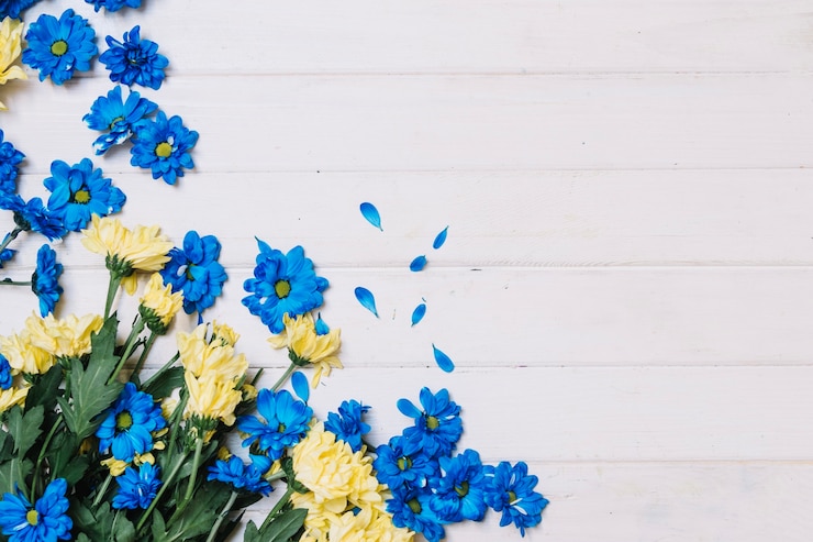 Foto grátis flores azuis e brancas