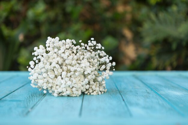 flores brancas bonitas na tabela azul de madeira