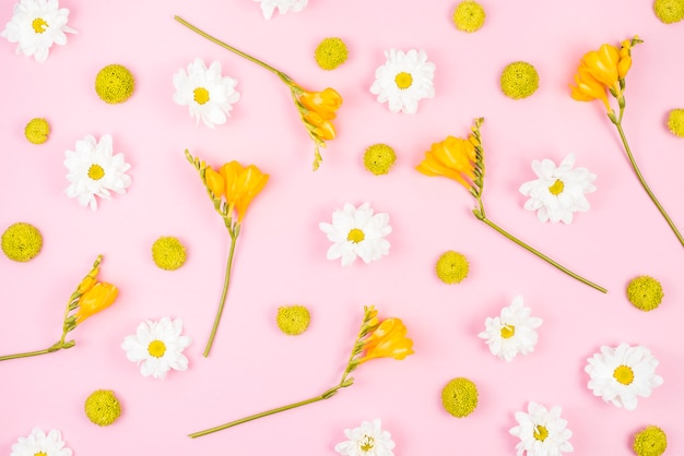 Flores brancas e amarelas em fundo rosa