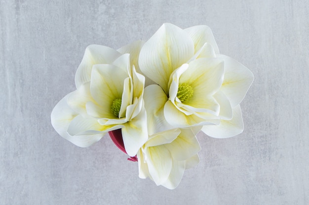 Flores brancas em um balde rosa, sobre fundo branco. Foto de alta qualidade