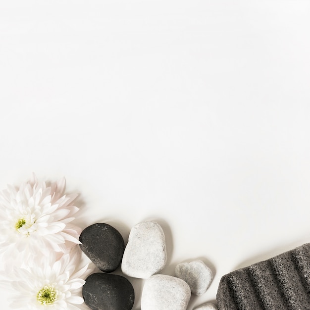 Foto grátis flores brancas; la pedras e pedra-pomes isolado sobre o fundo branco