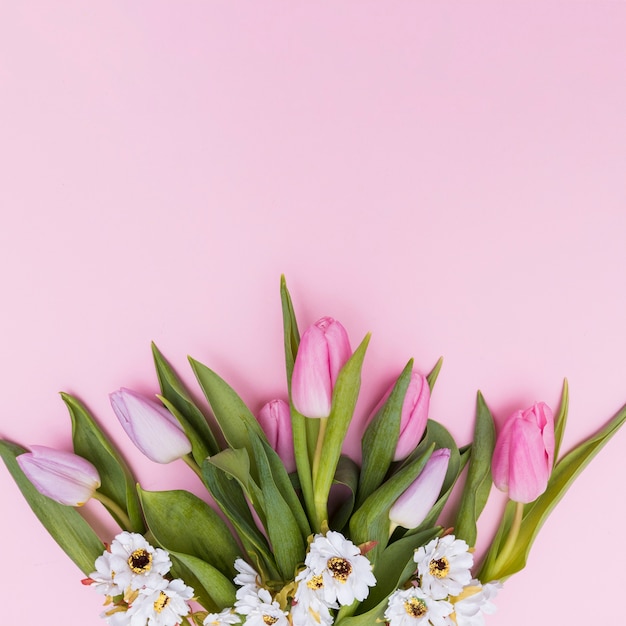 Foto grátis flores coloridas brancas e cor de rosa