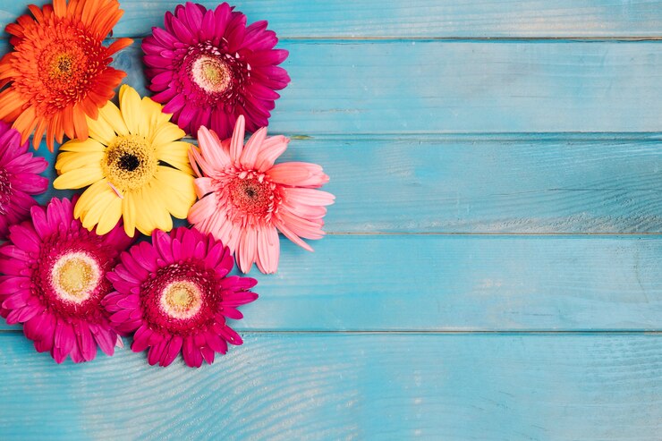 Foto grátis flores coloridas diferentes na mesa azul