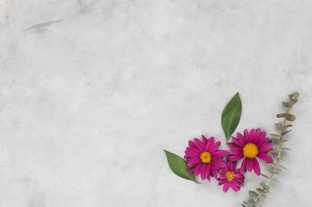 Flores cor de rosa com folhas na mesa cinza