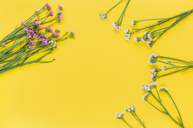 Foto grátis flores cor de rosa e brancas em fundo amarelo