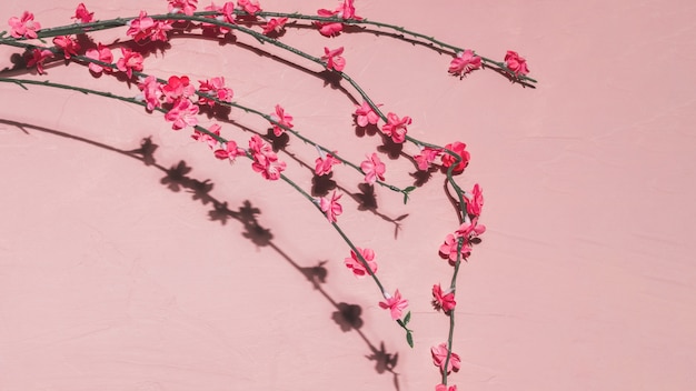 Flores cor de rosa em um galho