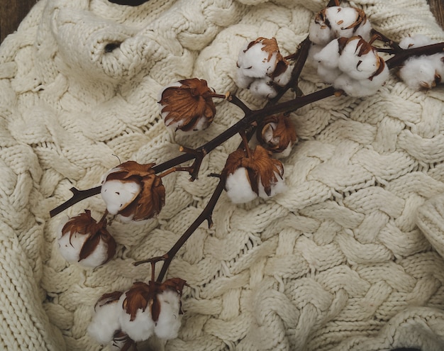 Flores de algodão na mesa de madeira