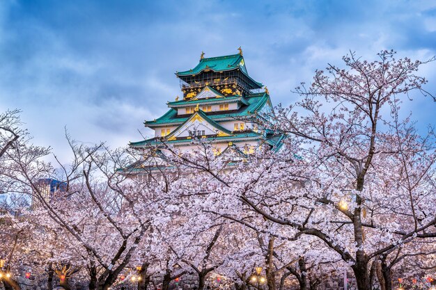 Flores de cerejeira e castelo em Osaka, Japão.