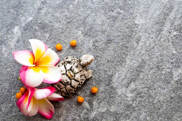 Flores de frangipani com arranjo de tartarugas em estilo de cartão postal plano Foto Premium