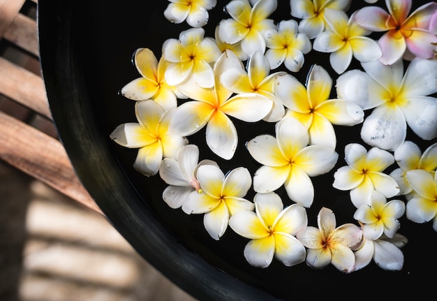 Flores de frangipani em um salão de spa