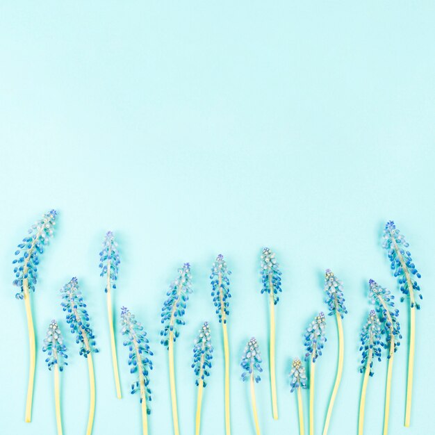 Flores de rímel de fundo em fundo azul