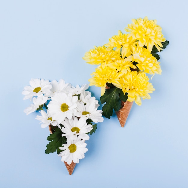Flores decorativas da margarida