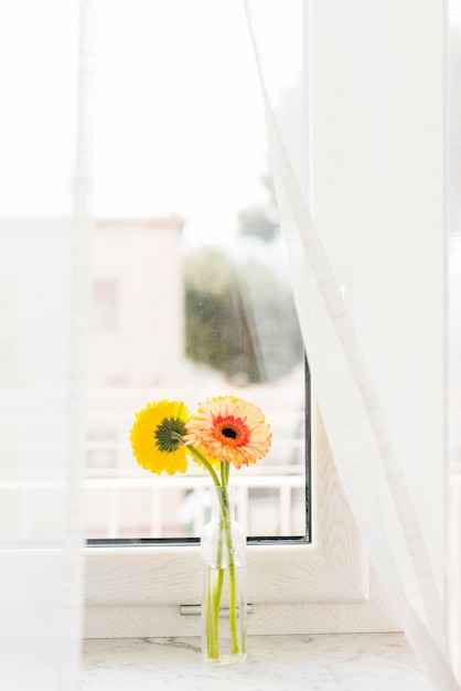 Flores decorativas em um vaso