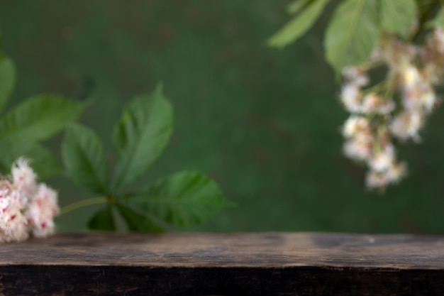 Foto grátis flores e folhas de castanha-do-mar em fundo verde