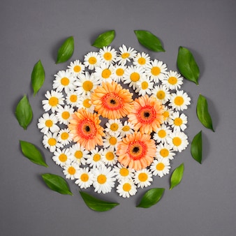 Flores e folhas organizadas em círculo