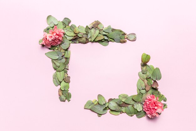 Flores e folhas