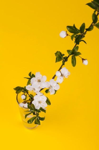 Flores em um vaso