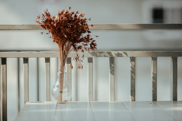 Foto grátis flores em vaso