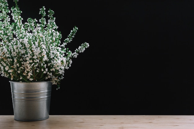 Flores em vasos brancos na mesa de madeira contra o fundo preto
