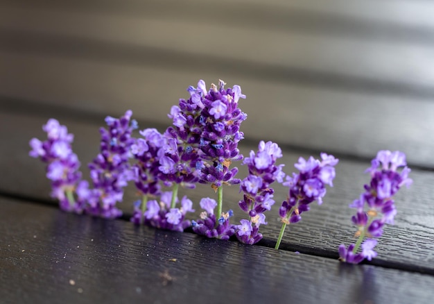 Flores frescas de lavanda na mesa de prancha preta