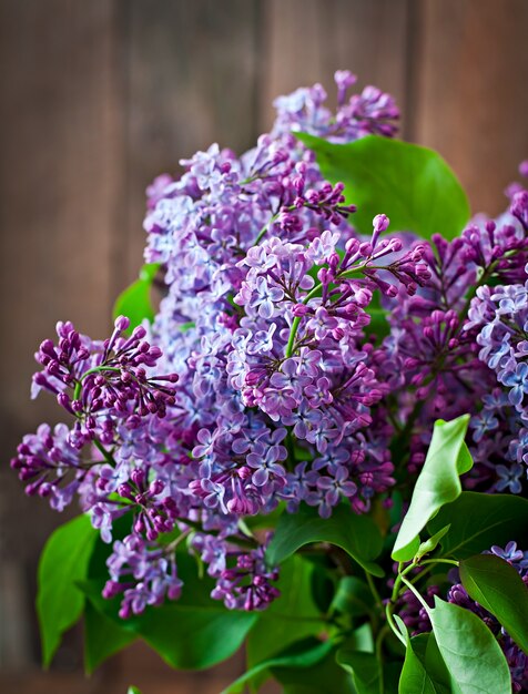 Flores lilás e folhas na natureza