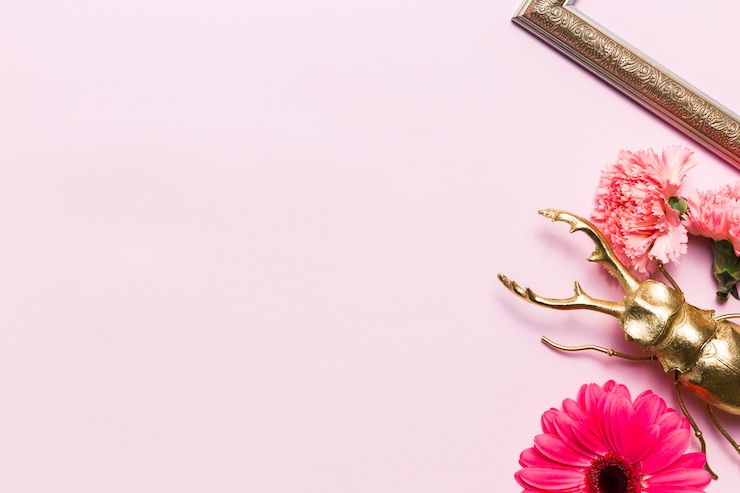Foto grátis flores, moldura e um besouro