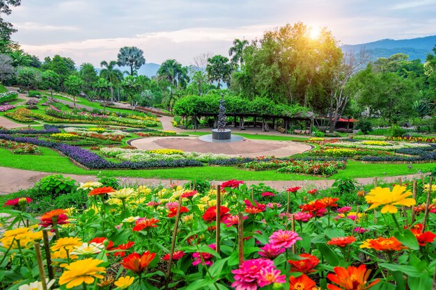 Flores no jardim, jardim Mae fah luang localizam em Doi Tung em Chiang Rai, Tailândia.