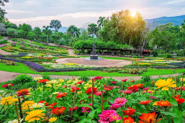 Flores no jardim, jardim Mae fah luang localizam em Doi Tung em Chiang Rai, Tailândia.