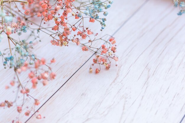 Flores secas na superfície de madeira, foco seletivo, clima de primavera