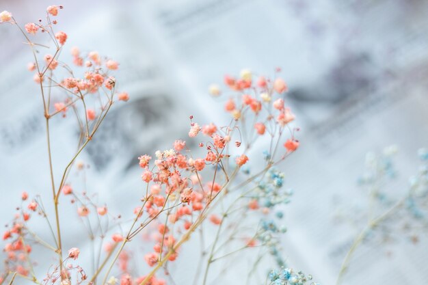 Flores secas na superfície do jornal, foco seletivo, clima de primavera