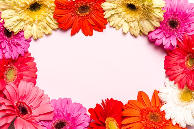 Foto grátis flores