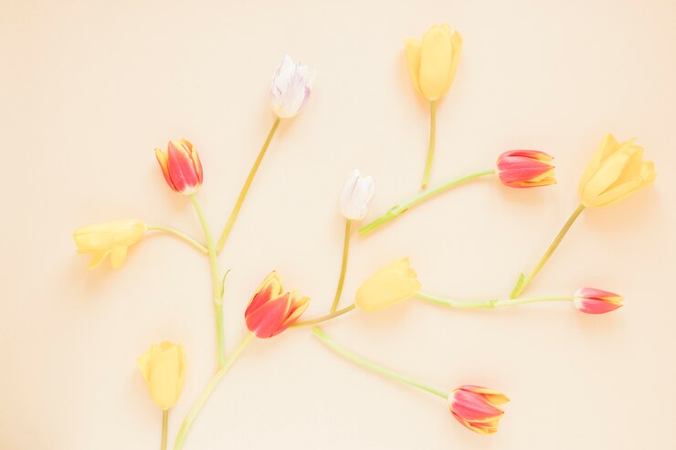 Foto grátis flores