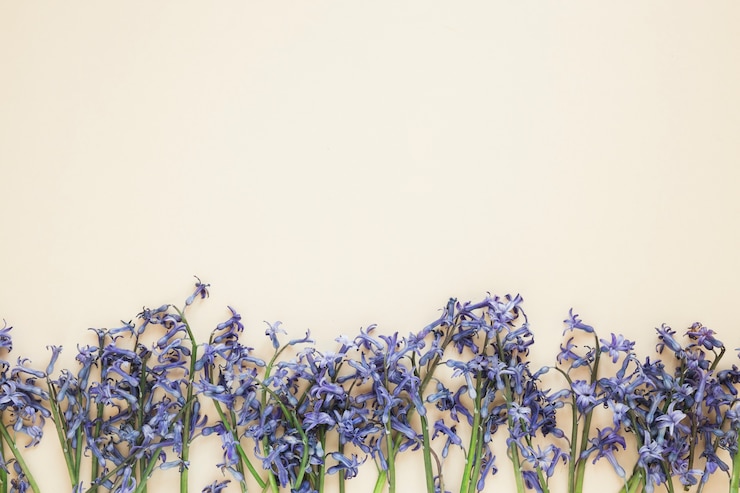 Foto grátis flores
