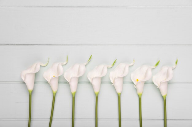 Foto grátis florescendo flores alinhadas na mesa com cópia-espaço