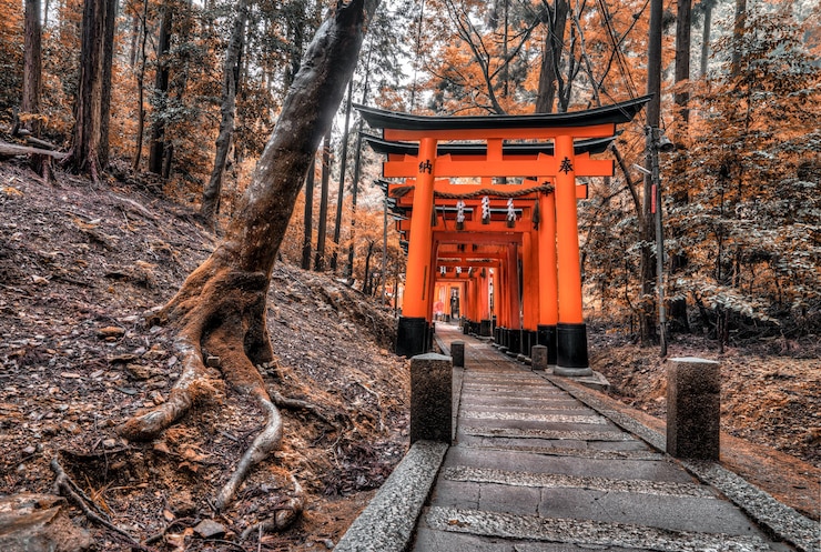 Foto grátis floresta com estrutura japonesa