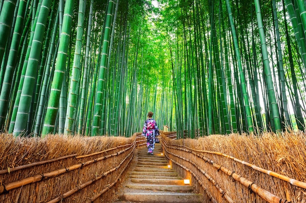 Floresta de bambu. Mulher asiática vestindo quimono tradicional japonês na floresta de bambu em Kyoto, Japão.