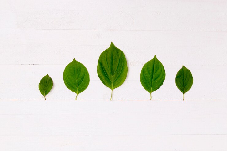 Foto grátis floresta de folhas com linha de terra