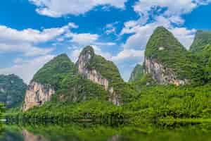 Foto grátis floresta lindo elefante montanha natureza bambu