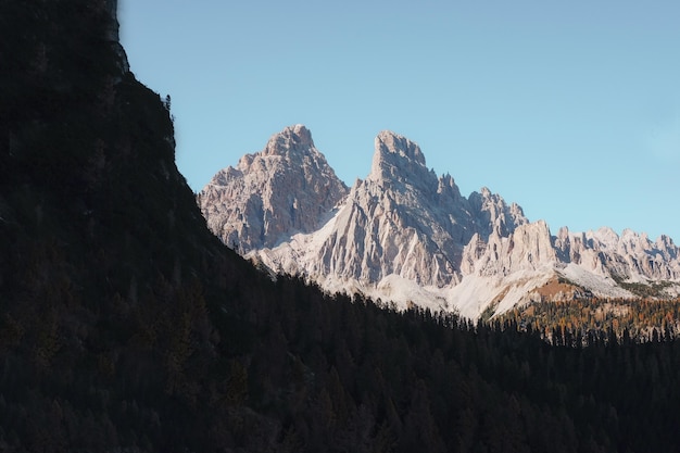 Foto grátis floresta perto da montanha de pedra cinza