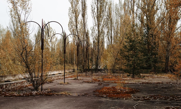Floresta vermelha na cidade de chernobyl, ucrânia, cidade abandonada