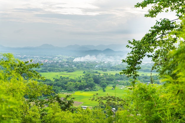 Foto grátis floresta vista de uma montanha