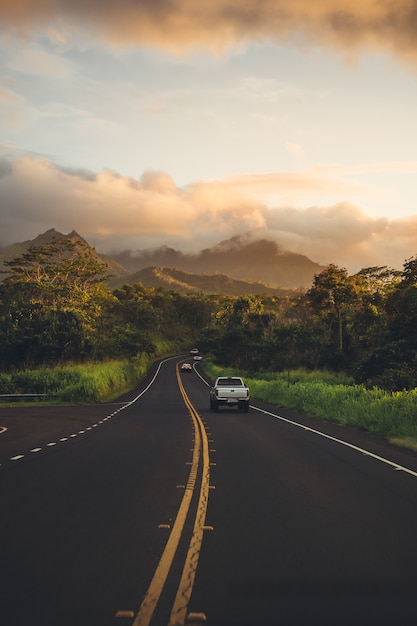 Foto grátis florestas e vegetação rodoviária bela paisagem