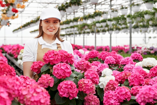 Florista cuidando de hortênsias brancas e rosa